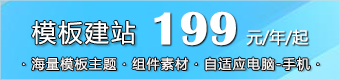 模板网站 · 199元